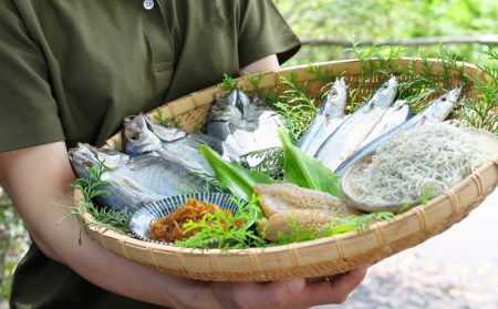 干物 ひもの みりん干し 開き 丸干し 詰め合わせ イカ さんま カマス しらす いわし アジ 冷蔵 海鮮 干物 季節のおすすめ干物セットA（約10枚）  三重県紀宝町産 ※季節によって内容が異なります【ems002】