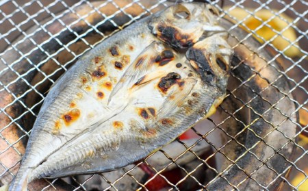 干物 ひもの みりん干し 開き 丸干し 詰め合わせ イカ さんま カマス しらす いわし アジ 冷蔵 海鮮 干物 季節のおすすめ干物セットA（約10枚）  三重県紀宝町産 ※季節によって内容が異なります【ems002】