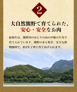 ステーキ 牛肉 和牛 国産 紀和牛 サーロインステーキ 4枚セット【冷蔵】 / ステーキ 牛肉【tnk102-1】