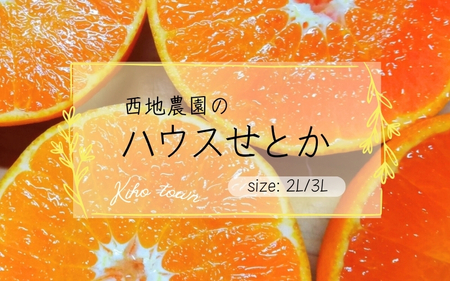 せとか 西地農園の ハウス せとか 2L 12個 or 3L 10個【2025年2月中旬より順次発送】 / みかん せとか ハウスせとか 紀宝町みかん  紀宝町せとか 人気みかん 人気せとか こだわりみかん こだわりせとか 農家直送みかん 農家直送せとか みかん せとか ハウスせとか 紀宝町 ...