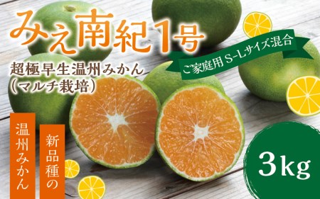 ご家庭用 家庭用 不揃い フルーツ 極早生 早生 温州 みかん 蜜柑 三重