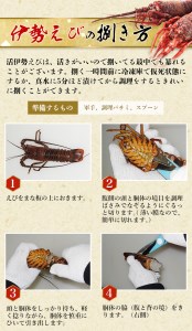 伊勢エビ 天然 （活）1～3尾 300～450g【2025年10月中旬頃から2026年3月末までに順次発送（1月は漁不可）】【enk001】