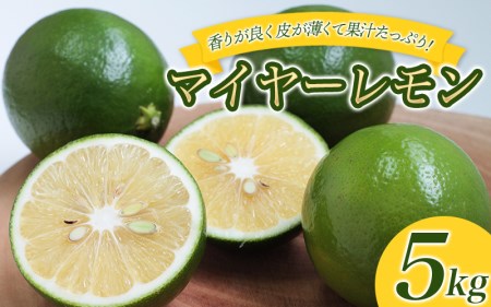 レモン 国産 マイヤーレモン 数量限定 / はぎファームのマイヤーレモン 5kg 【2024年10月～2025年3月下旬の期間で順次発送】【hgf002A】