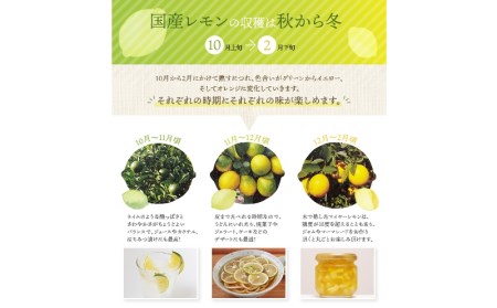 レモン 国産 マイヤーレモン 数量限定 訳あり / はぎファームの訳あり