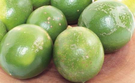 レモン 訳あり マイヤーレモン はぎファーム 5kg【hgf004】