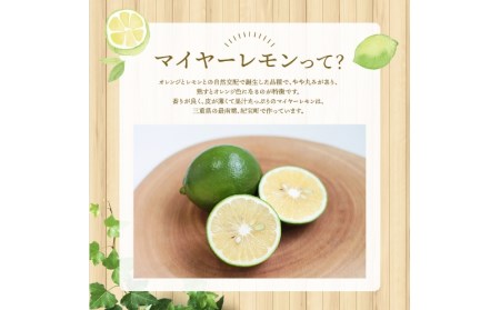 レモン 訳あり マイヤーレモン はぎファーム 5kg【hgf004】