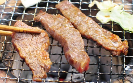 肉 牛肉 牛 小分け 味 焼き肉 焼肉 冷凍 / 牛タレ仕込味付焼肉 300g×4パック 合計1.2kg【冷凍】【tnk204】