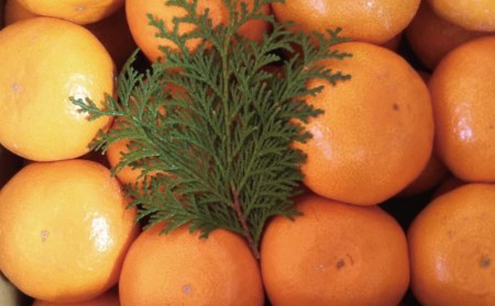 フルーツ 早生 興津 温州 みかん 蜜柑 三重県 高品質 みえ アルギット S Lサイズ混合 前元農園の完熟早生 興津 温州みかん 5kg 12月初旬 下旬に順次発送 Mmg001 三重県紀宝町 ふるさと納税サイト ふるなび