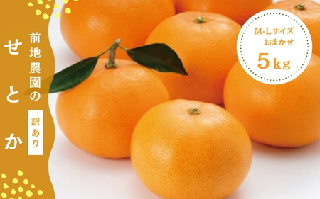 ご家庭用 せとか 前地農園の せとか サイズおまかせ M-2L 5kg【2026年3月初旬~3月中旬までに順次発送】 / せとか みかん フルーツ 果物 くだもの【mmd003B】