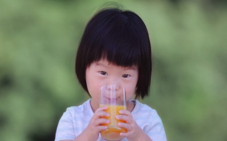 果汁100% みかんジュース ストレート  みかん / 前元農園の完熟みかんジュース (温州みかん100％) (180ml×10本)【mmg014A】