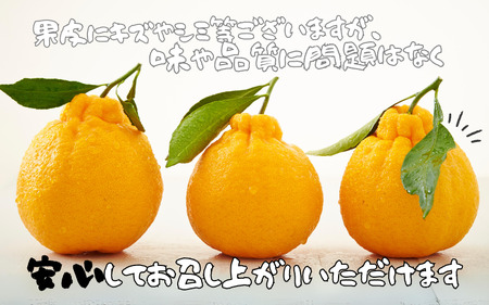 訳あり 不知火 石本農園の 不知火 4.5kg M~4L サイズおまかせ 【2025年2月上旬から3月上旬までに順次発送】 / デコポン みかん ミカン 蜜柑 柑橘 果物 くだもの フルーツ わけあり 訳あり 家庭用 予約 人気 ジューシー 甘い 産地直送 【mis012A】