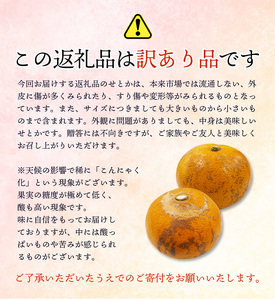 訳あり せとか 3.5kg＋200g(傷み補償分) 大小混合 ご家庭用 【2025年2月下旬～順次発送致】/ わけあり 訳アリ フルーツ 果物 くだもの 柑橘 せとか みかん ミカン 蜜柑 人気 予約 先行予約 数量限定 期間限定 【njb682】