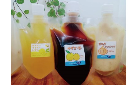 ドレッシング 自家製 ゆず 柚子 はちみつ 玉ねぎ たまねぎ 蜂蜜 レモン 国産 マイヤーレモン / 玉ねぎドレッシング ゆずぽん酢 はちみつマイヤーレモン【手作りのkokoro食堂セット×2】【kkr002】