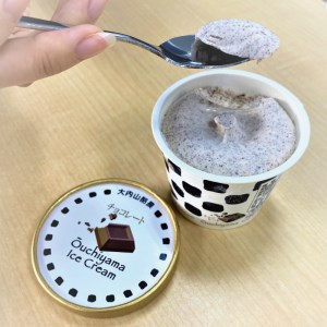 アイス バニラ チョコレート チョコ セット スイーツ / 大内山アイスクリーム4個ずつセット　＜バニラ・チョコ＞【khy005-3B】