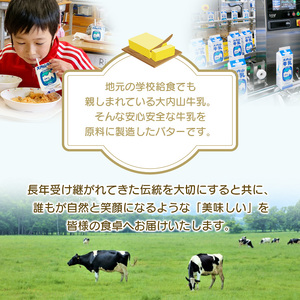 有塩バター トースト 冷蔵 クリーム 国産 三重県産 チャーン製法 料理 材料 お菓子作り / 大内山バター　3個 600g (200g×3個)【khy015B】