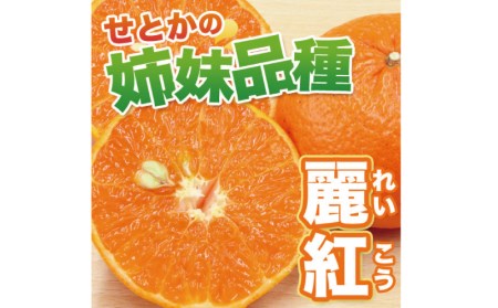 みかん フルーツ くだもの 果物 麗紅 れいこう 【先行予約】石本果樹園の美味しい麗紅（レイコウ）約4kg 20～25玉前後【2025年2月中旬から3月中旬までに順次発送】【min003A】