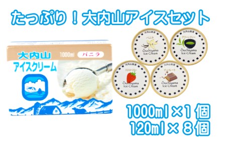 アイスクリーム アイス バニラ 抹茶 グリーンティー イチゴ ストロベリー チョコ チョコレート 大容量 / たっぷり大内山アイスセット【khy041B】