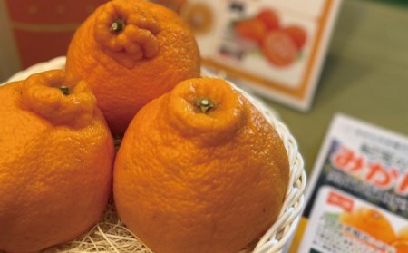 不知火 柑橘 みかん 蜜柑 ハウス 2L 3L デコポン 果物 フルーツ / サイズ2L以上 ハウス不知火 4kg【2026年1月上旬から2月下旬に順次発送】【mok010A】