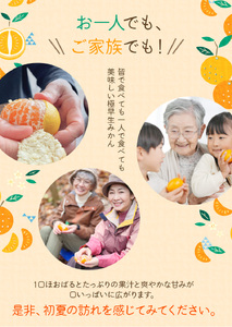 【先行予約】 訳あり みかん 極早生温州みかん 約6.5kg＋傷み保証分300g 2S～3Lサイズおまかせ 【2025年9月下旬から10月中旬までに順次発送予定】 / 家庭用 ご家庭用 訳アリ わけあり ミカン 極早生みかん 蜜柑 柑橘 果物 くだもの フルーツ 極早生 温州 夏みかん【njb690B】