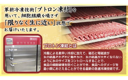 近江牛A5ランク切落し700g 肉のげんさん 近江牛