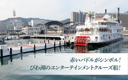 ミシガンクルーズペア乗船券（90分間コース） [KS002] チケット