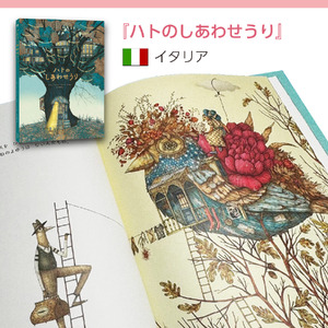 イタリア オランダの大人気翻訳絵本3冊セット [AR001] / 絵本