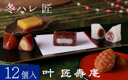 叶 匠壽庵 冬ハレ 匠 AGF-40 [Y012] / あも 和菓子 のし 熨斗 ギフト