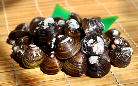 ≪12/18までの寄附入金で 年内発送 ≫琵琶湖産しじみのレトルト味噌汁 10食入×2パック [TT004] / 蜆