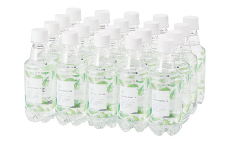 ナチュラルミネラルウォーター岩深水炭酸水300mlペットボトル [BT002] / 天然水 9,240円