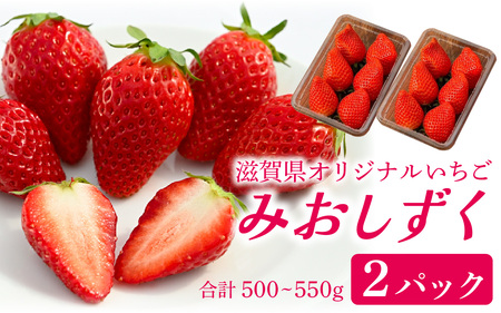 いちご（みおしずく）2パック [NN001] / 苺 【2025年12月28日以降発送】