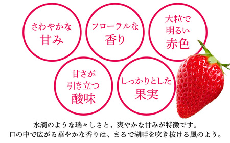 いちご（みおしずく）2パック [NN001] / 苺 【2025年12月28日以降発送】