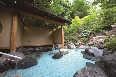 近江牛 会席 日帰りプラン ご利用券【 おごと温泉 湯元舘 】 温泉券