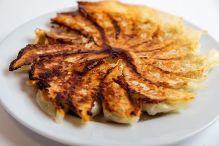 冷凍近江牛肉餃子 4箱 餃子