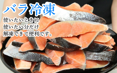 【訳あり】塩銀鮭 1.5kg(500g × 3) [BM03] | 銀鮭