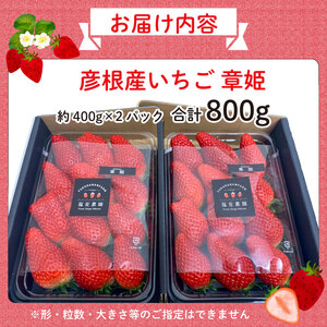 いちご 章姫 あきひめ 800g （400g × 2パック）苺 イチゴ くだもの