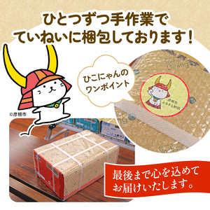 スプリングバレー ジャパンエール 香 500ml×24本 缶ビール クラフトビール 【キリン】【 缶ビール 】 