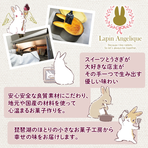 しあわせの ひこにゃん BIWAKO色 カステラ 3品 セット 彦根 滋賀