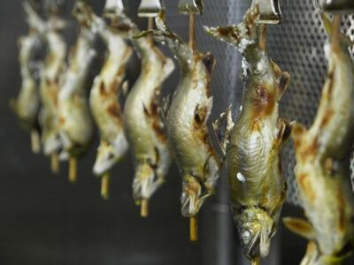 鮎の塩焼き 5尾入 滋賀県産 あゆの塩焼き