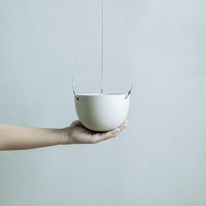 【観葉植物】MOLLIS ペペロミア ホープ 観葉植物【KINTO】