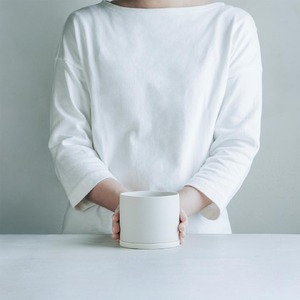 【観葉植物】MOLLIS 墨烏帽子 サボテン 観葉植物【KINTO】