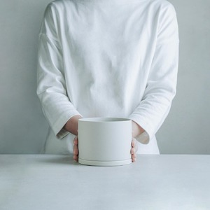 【観葉植物】MOLLIS 宇宙の木 ユニーク 観葉植物 【KINTO】