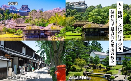 滋賀県彦根市 旅行クーポン 60,000円分 旅行券 彦根旅行券 宿泊券 彦根宿泊券