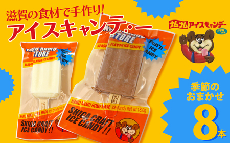 ナムナムストア アイスキャンディー バー8本入 アイス ミルク 果物 冷凍