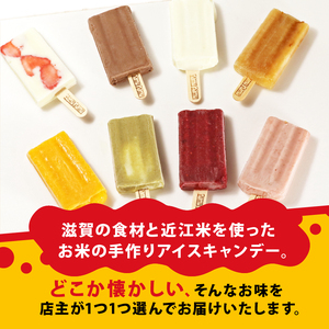 ナムナムストア アイスキャンディー バー8本入 アイス ミルク 果物 冷凍