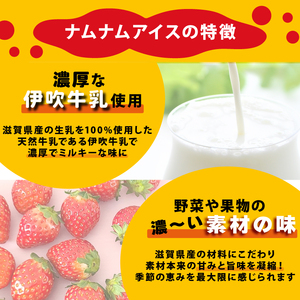 ナムナムストア アイスキャンディー バー8本入 アイス ミルク 果物 冷凍