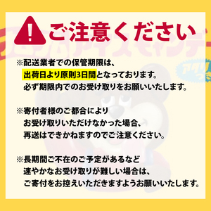 ナムナムストア アイスキャンディー バー8本入 アイス ミルク 果物 冷凍