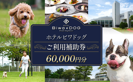 【ペットと泊まれる】 ホテルビワドッグ ご利用補助券 60,000円 ホテル 犬 愛犬