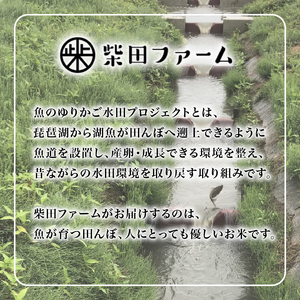 【令和7年産新米】減農薬米 近江米 こしひかり 白米 10kg ［shiba01] 白米
