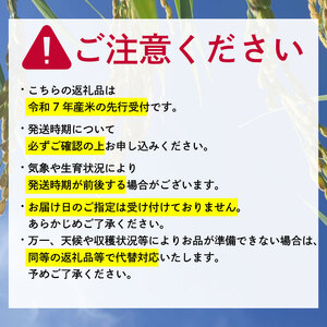 【令和7年産新米】減農薬米 近江米 こしひかり 白米 10kg ［shiba01] 白米
