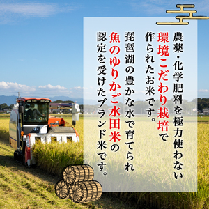 【令和7年産新米】減農薬米 近江米 こしひかり 玄米 10kg ［shiba02] 玄米